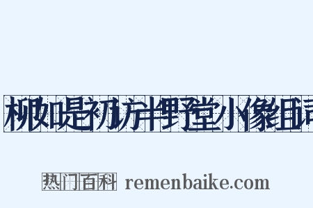 柳如是初访半野堂小像组词是什么意思的图片